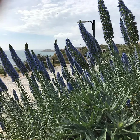 Appartamento Sol Mar Portimão