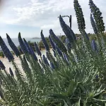 公寓 Sol Mar 波尔蒂芒