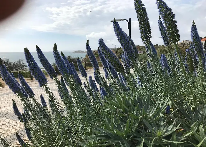 Apartamento Sol Mar Portimão